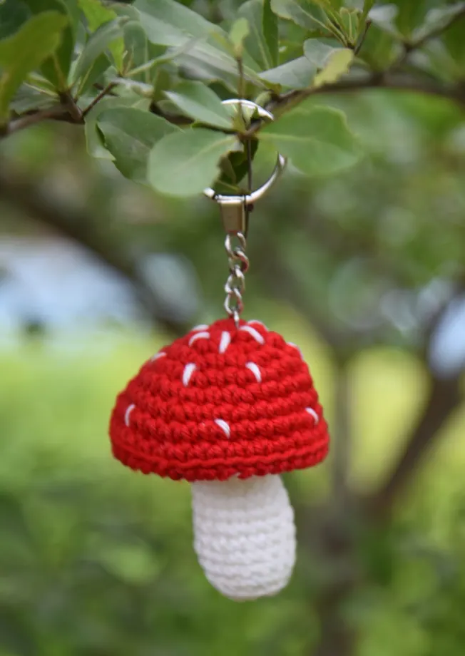 Mushroom