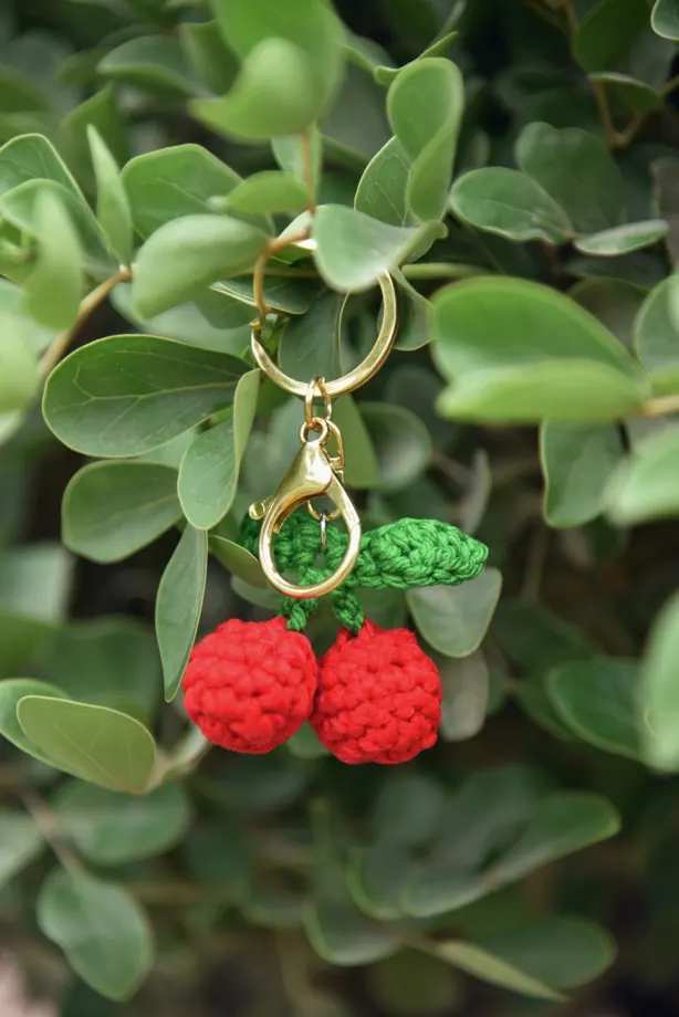 Fruits · cherries & strawberries